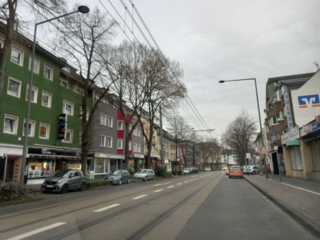 Koeln Poll
